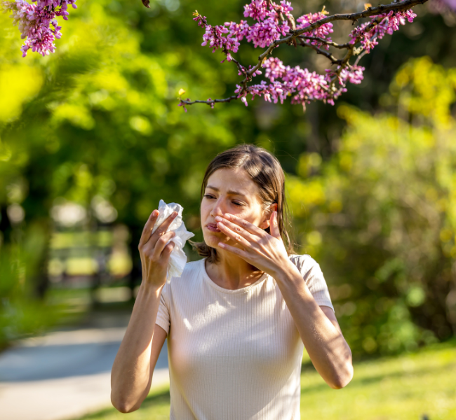 Seasonal Allergies