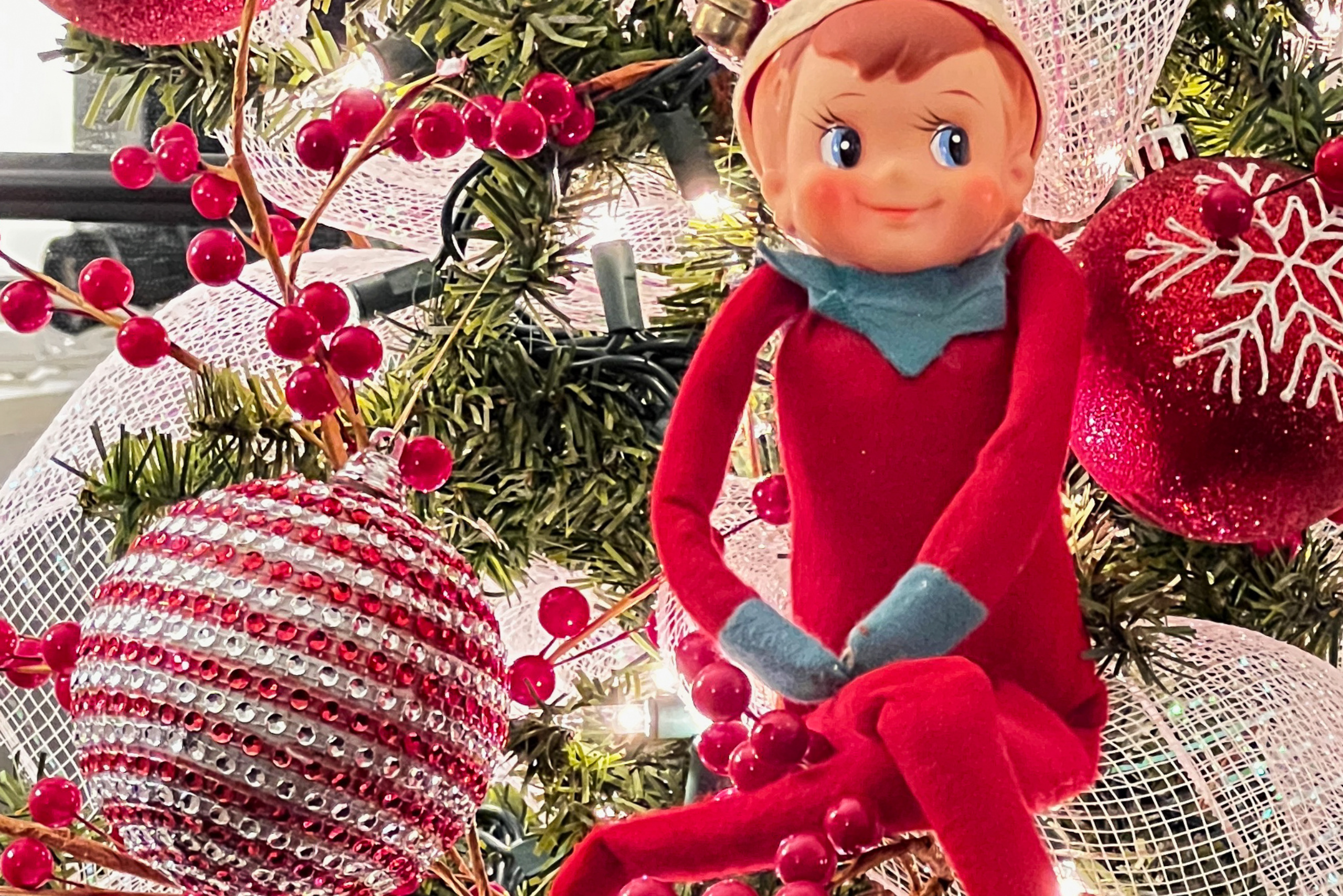 Elf on the Shelf in the Christmas tree.